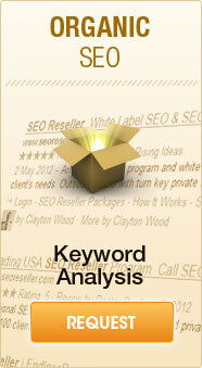 Organic SEO Marketing