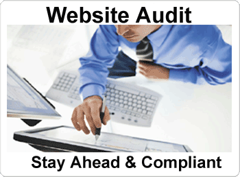 free website audit