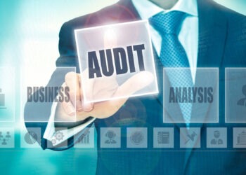 website audit